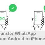 transfer whatsapp from android to iphone