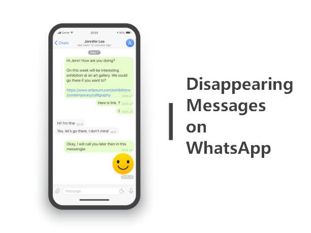 whatsapp disappearing message